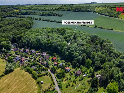 Prodej lesa 49399 m²