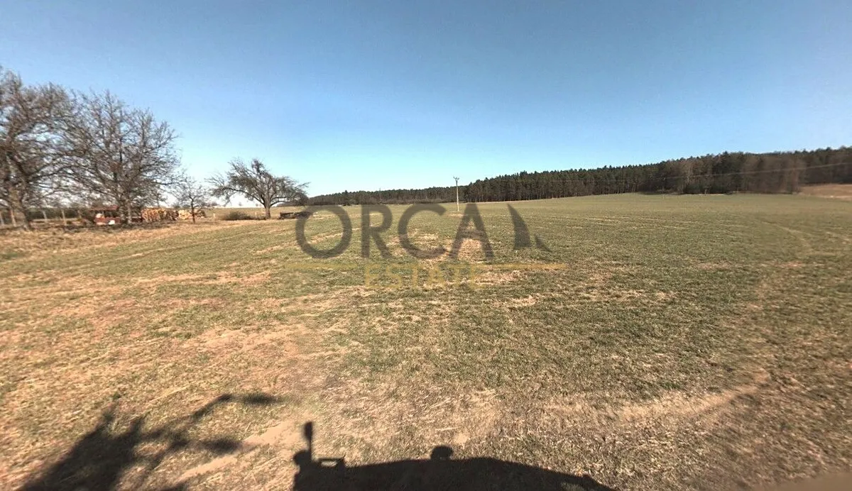 Fotka 4 z 5