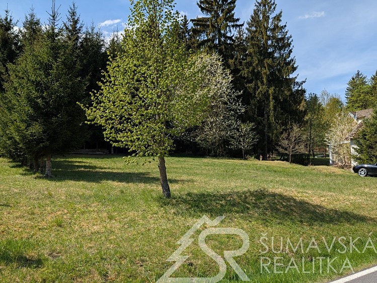Prodej pozemku, 8 878 m² (8 z 18)