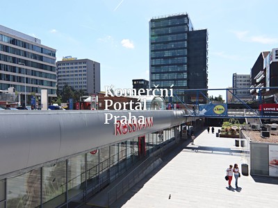 Gewerbefläche zur Miete, 450 m² (3 von 18)