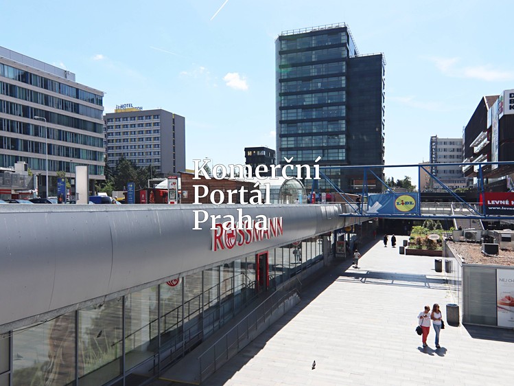 Gewerbefläche zur Miete, 450 m² (3 von 18)