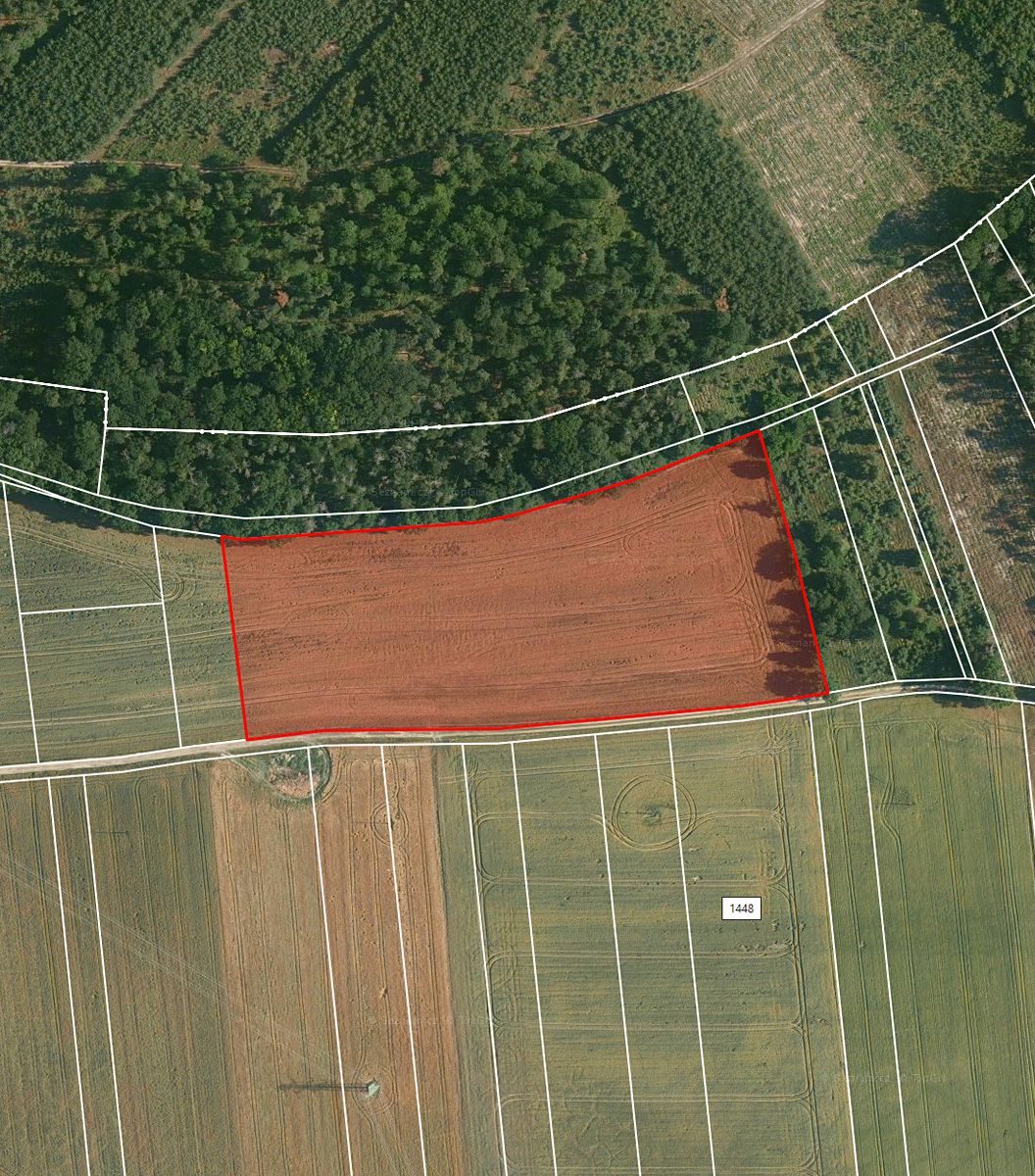 Prodej pole 20657 m² – fotografie 2