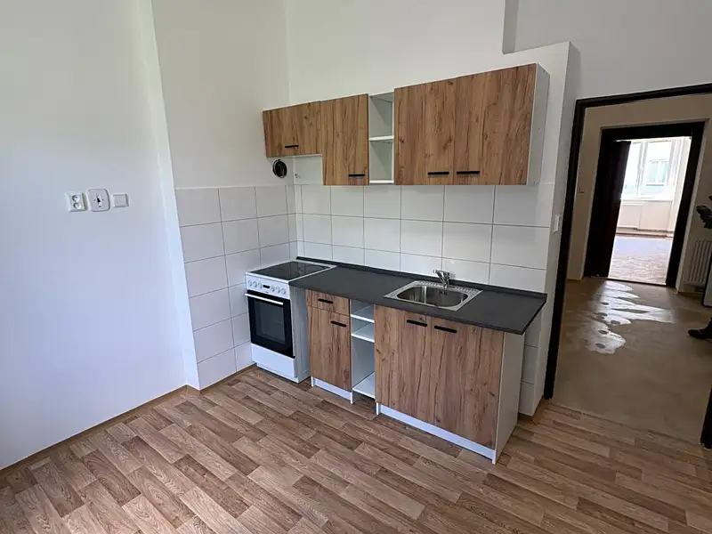 Pronájem bytu 1+1 45 m², Písek – náhled fotky 2