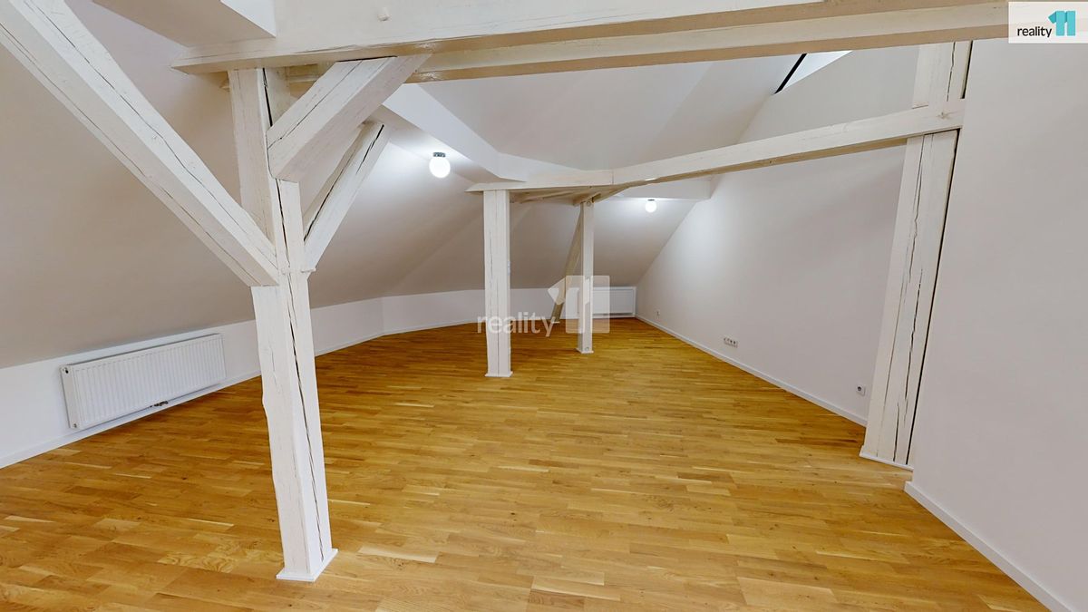Pronájem komerční nemovitosti 151 m² – fotografie 3