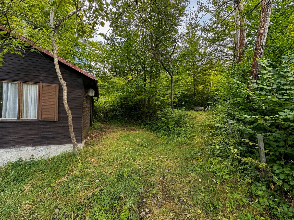 Prodej chaty 78 m², pozemek 4016 m² – fotografie 3