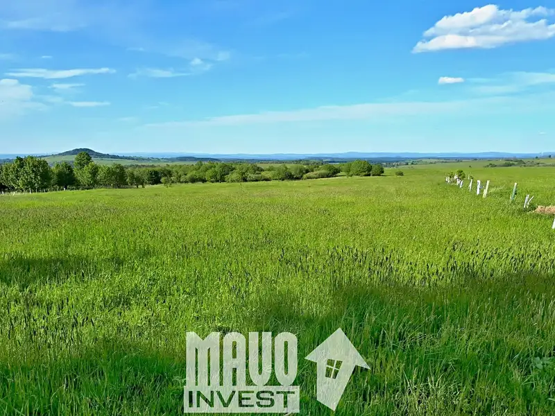 Prodej louky 118619 m², Petrovice – náhled fotky 2