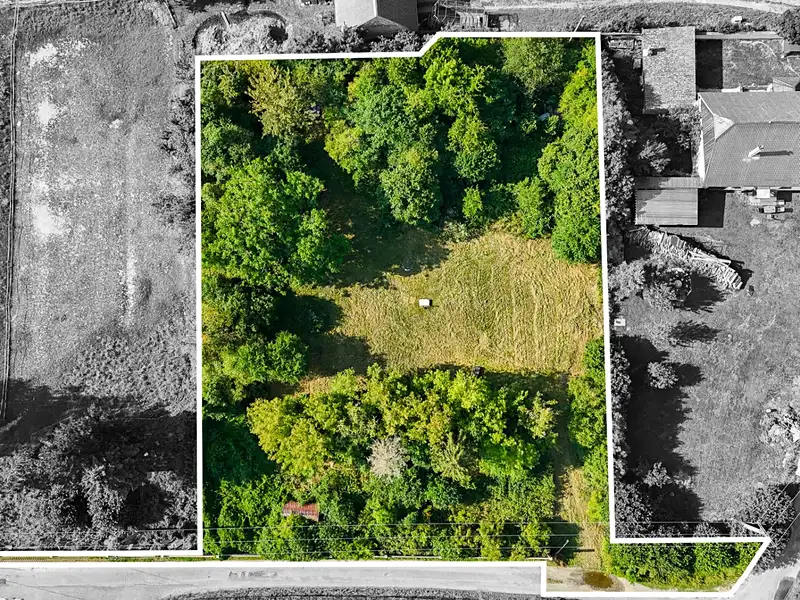 Prodej stavebního pozemku 3462 m², Bouzov – náhled fotky 1