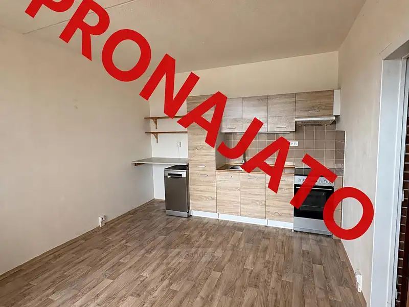 Pronájem bytu 2+kk 48 m², České Budějovice – náhled fotky 1