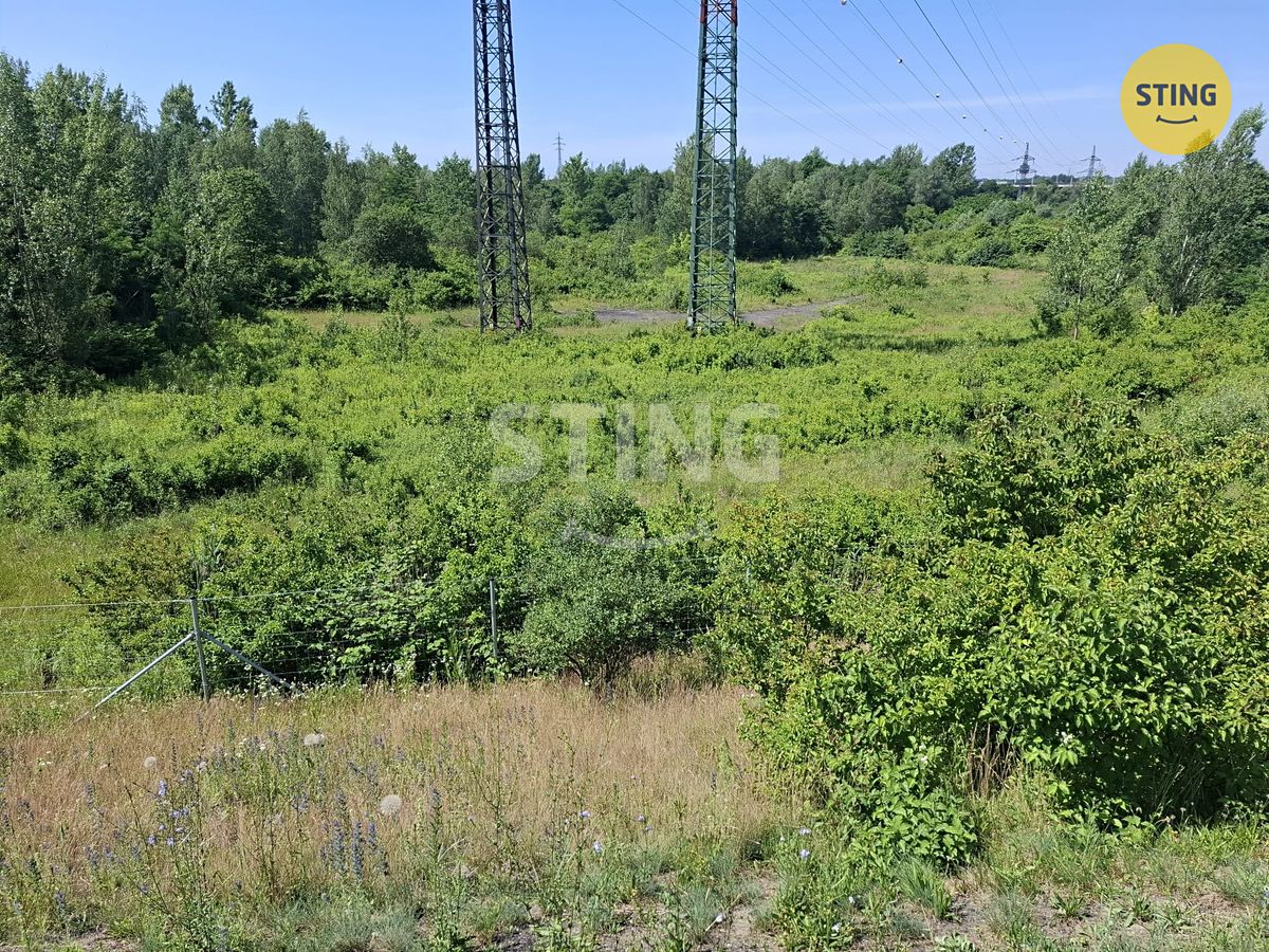 Pronájem louky 29433 m² – fotografie 3