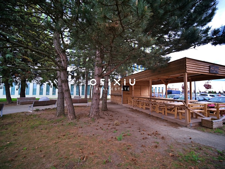 Ostatní