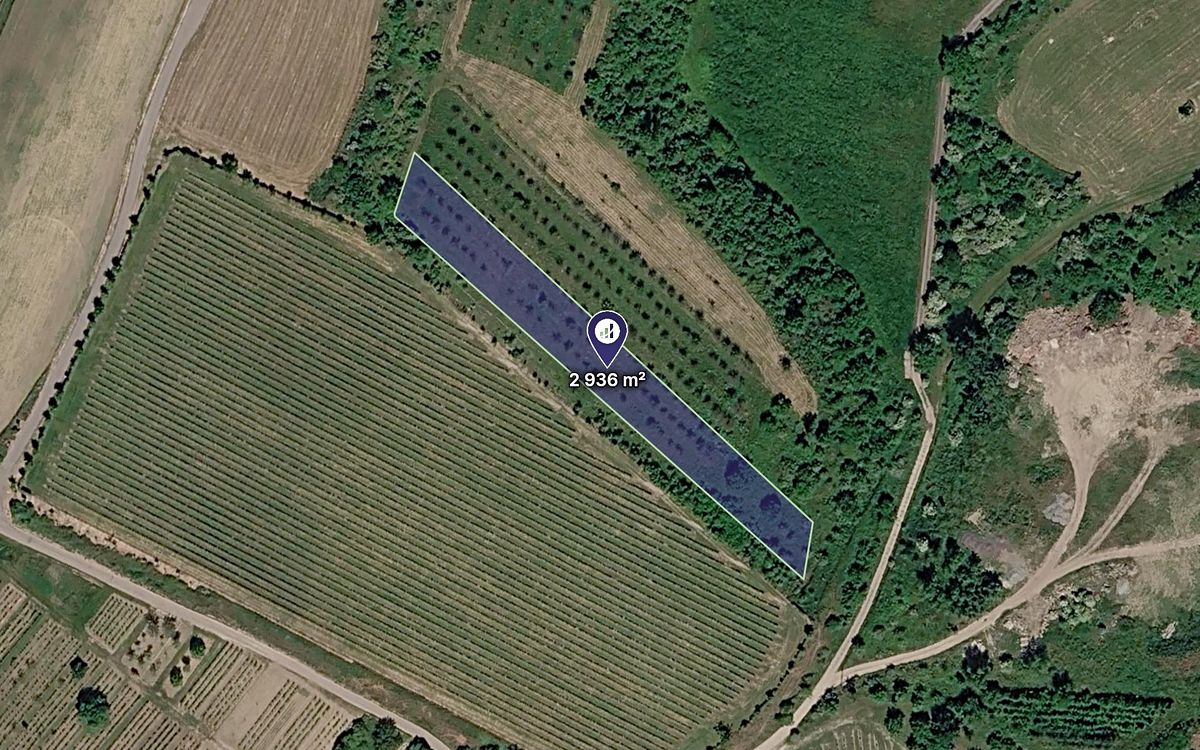 Prodej sadu, vinice 2936 m²