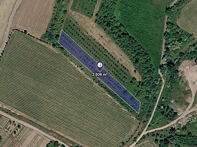 Prodej sadu, vinice 2936 m²
