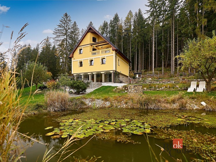 Prodej domu, 231 m² (14 z 59)