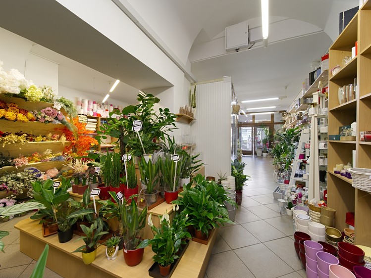 Prodej komerčního prostoru, 606 m² (9 z 24)