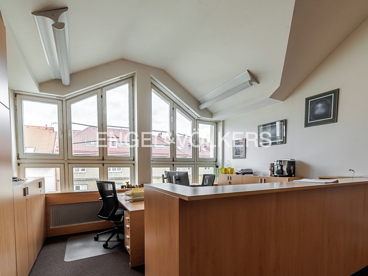 Pronájem komerčního prostoru, 1 318 m² (10 z 19)