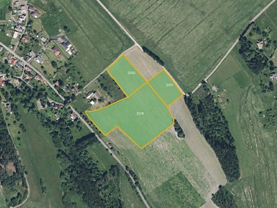 Prodej  louky 7 808 m²