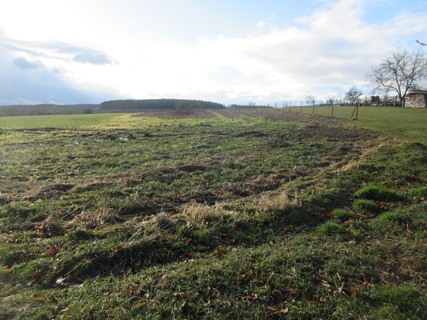 Prodej stavebního pozemku 1186 m² – fotografie 3
