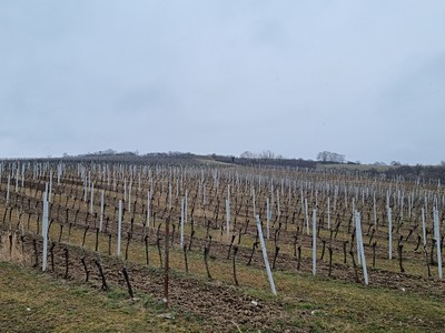 Prodej pozemku, 90 000 m² (3 z 8)