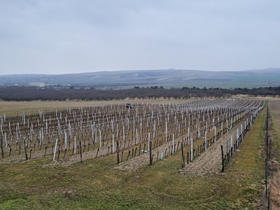 Prodej pozemku, 90 000 m² (2 z 8)