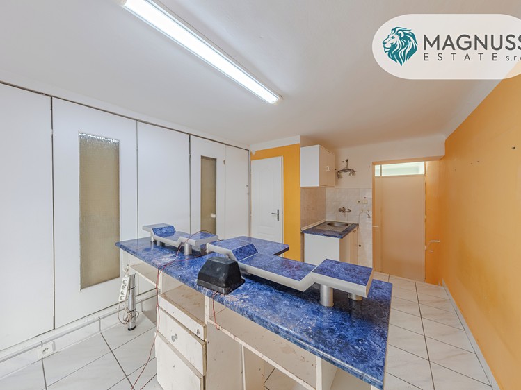 Prodej komerčního prostoru, 208 m² (21 z 24)