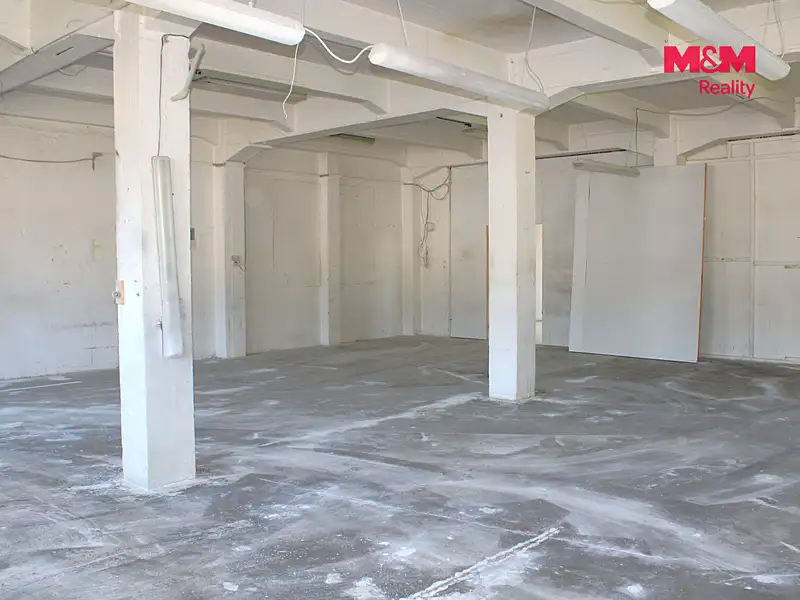 Pronájem výrobní haly, prostoru 330 m², Nová Paka – náhled fotky 3
