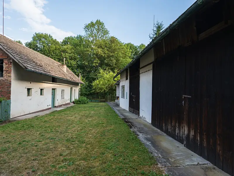 Prodej rodinného domu 70 m², pozemek 1940 m², Nová Ves – náhled fotky 2