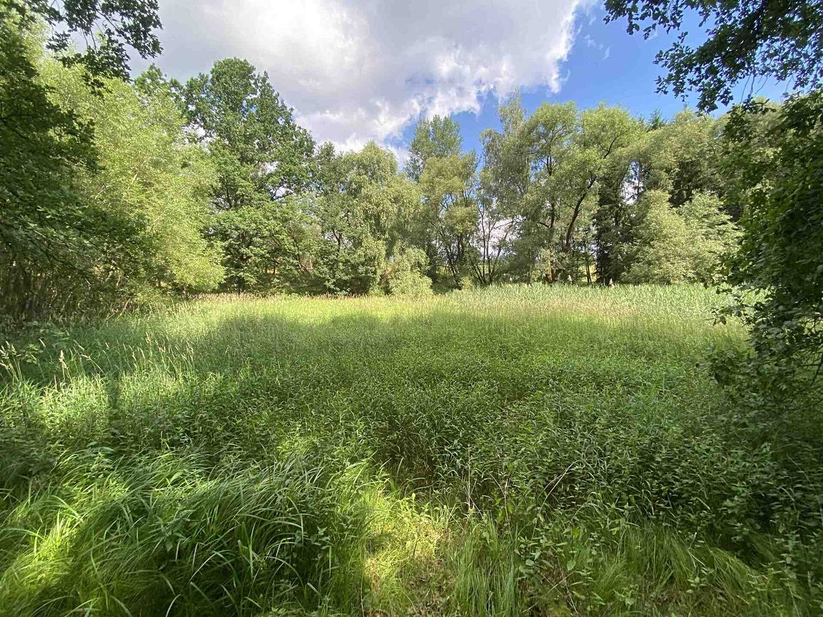 Prodej rybníku (vodní plochy) 4246 m²
