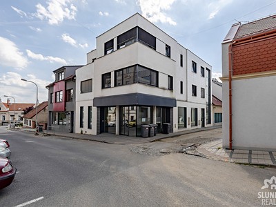 Pronájem bytu 3+kk 69 m²