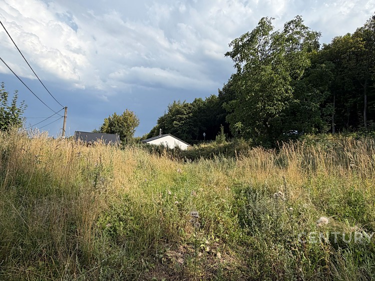 Prodej pozemku, 1 259 m² (9 z 12)
