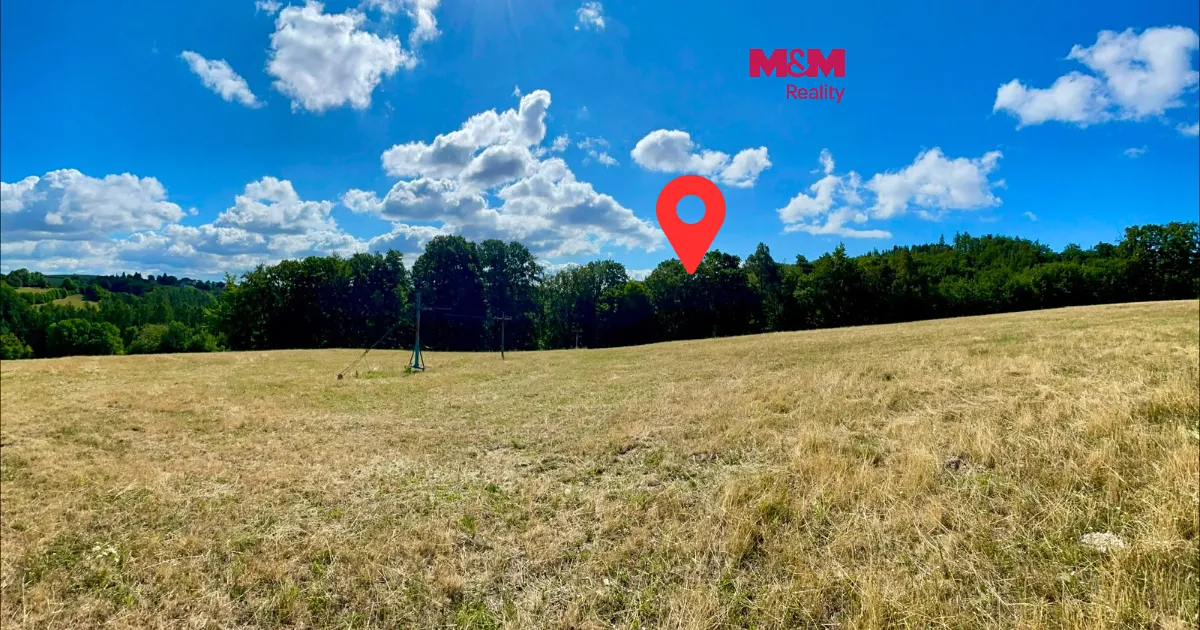 Prodej lesa 5050 m²