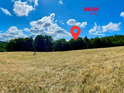 Prodej lesa 5050 m²