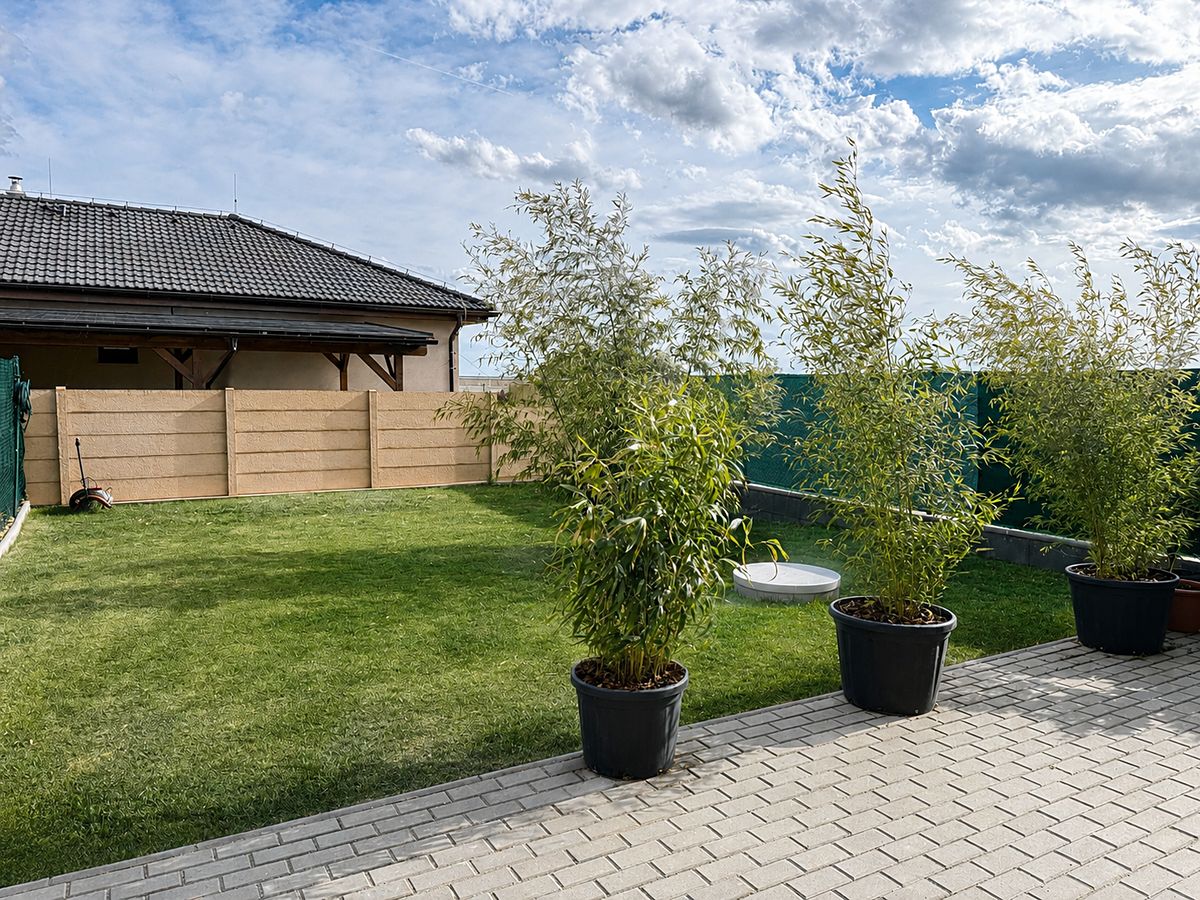 Prodej rodinného domu 150 m², pozemek 241 m² – fotografie 4