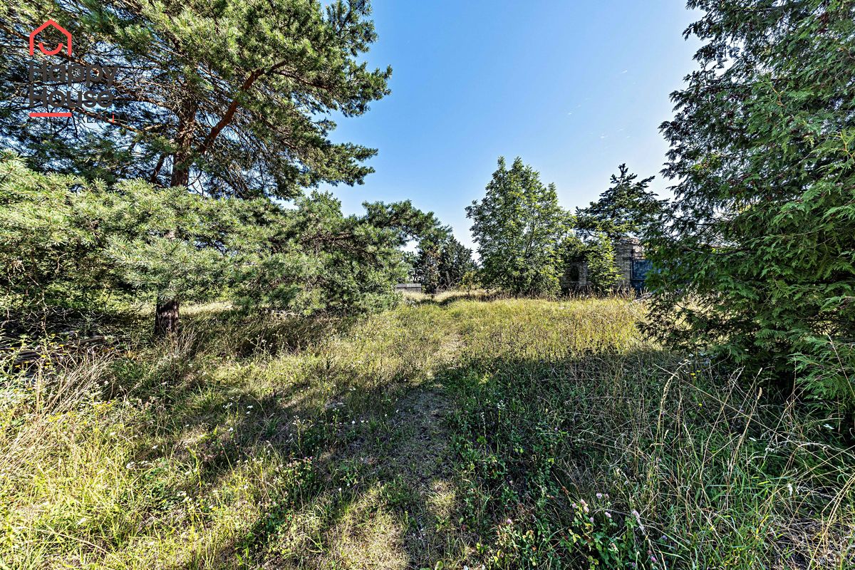 Prodej rodinného domu 220 m², pozemek 3038 m² – fotografie 3