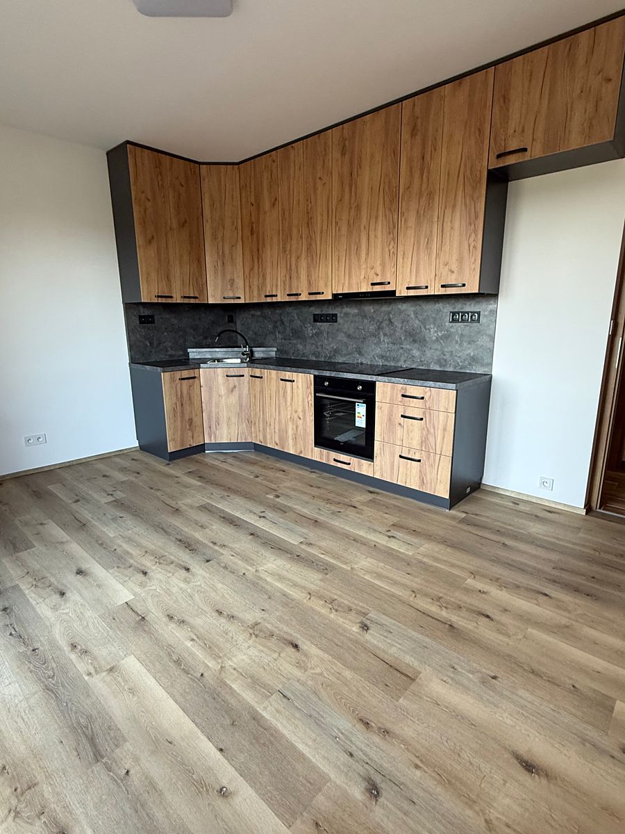 Pronájem bytu 3+kk 51 m² – fotografie 3