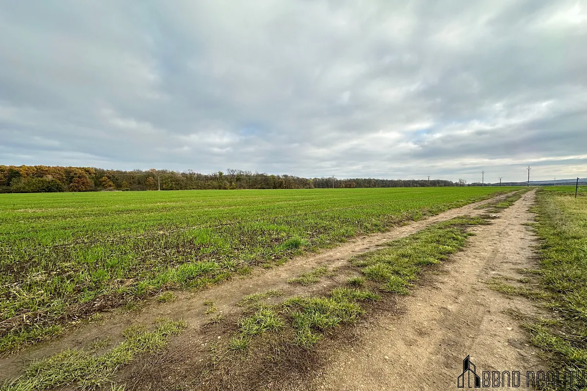 Prodej stavebního pozemku 3803 m² — fotografie 7