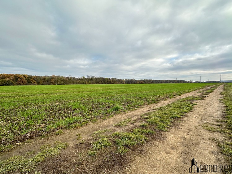 Grundstück zum Kauf, 3.803 m² (7 von 11)