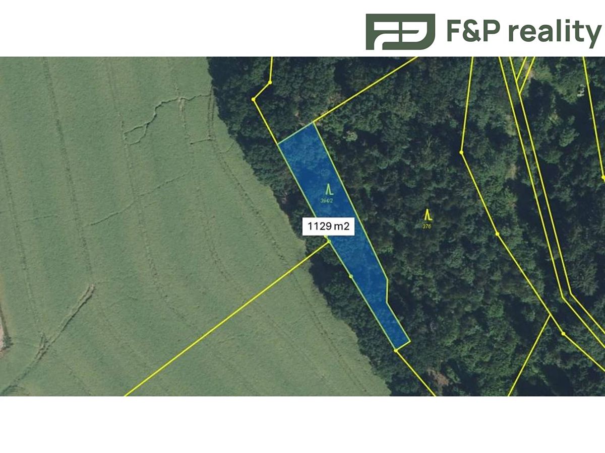 Prodej lesa 8286 m² – fotografie 3