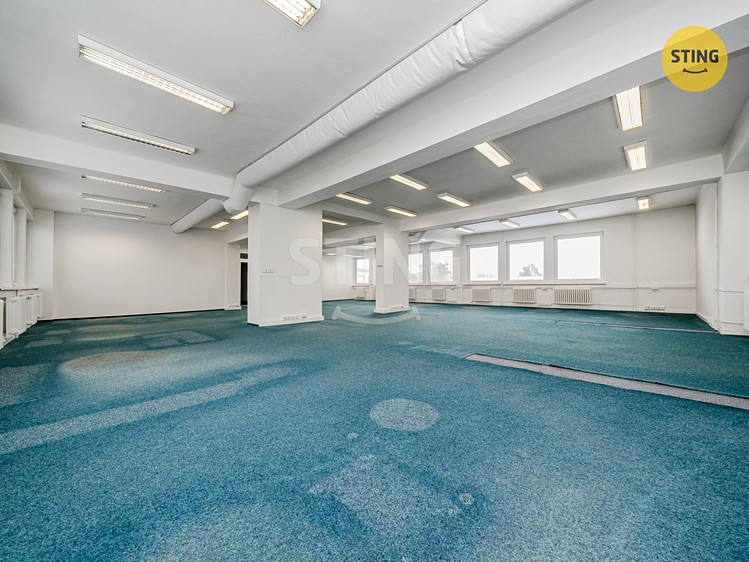 Комерційне приміщення в оренду, 165 м² (2 з 13)