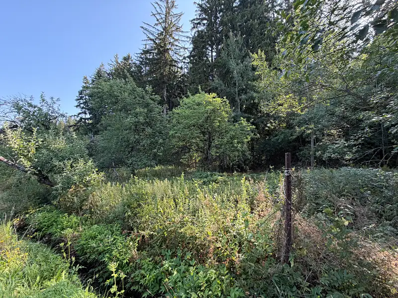 Prodej stavebního pozemku 2727 m², Hartmanice – náhled fotky 3