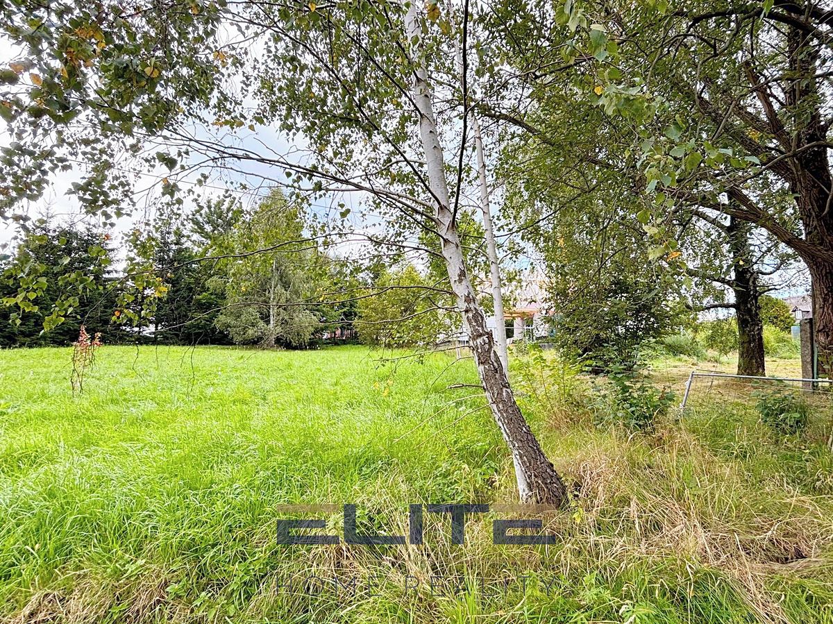 Prodej stavebního pozemku 1569 m² – fotografie 3