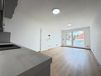 Pronájem bytu 2+kk 48 m²