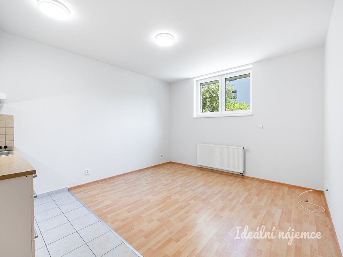 Pronájem bytu 1+kk 31 m²