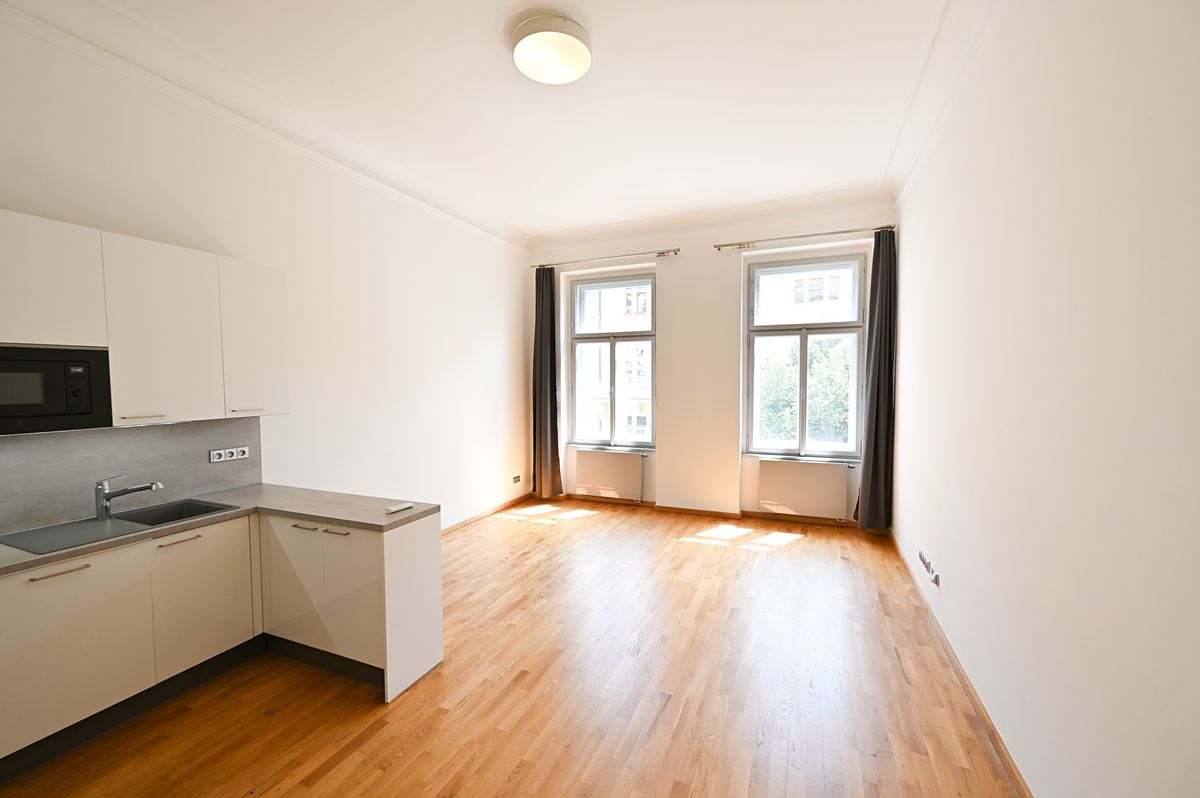 Pronájem bytu 1+kk 43 m² – fotografie 3