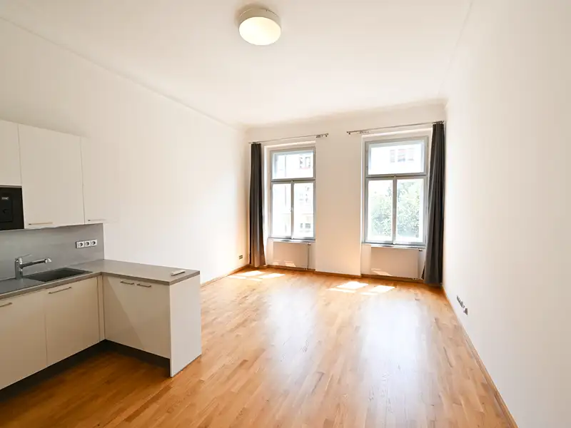 Pronájem bytu 1+kk 43 m², Praha – náhled fotky 3