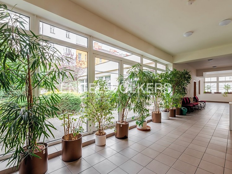 Pronájem komerčního prostoru, 1 318 m² (12 z 19)
