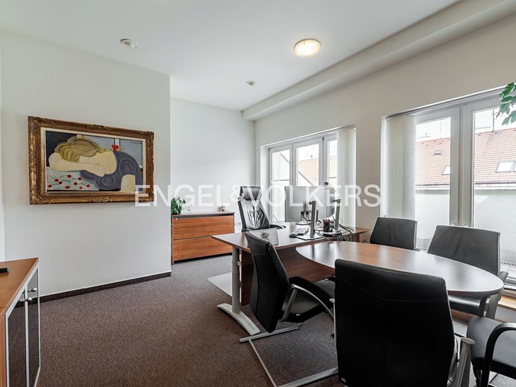 Pronájem komerčního prostoru, 1 318 m² (4 z 19)