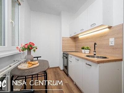 Pronájem bytu 1+1 39 m²