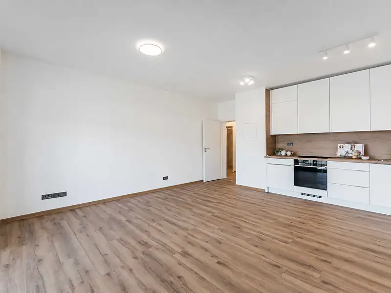 Prodej bytu 2+kk 52 m², Plzeň – náhled fotky 2