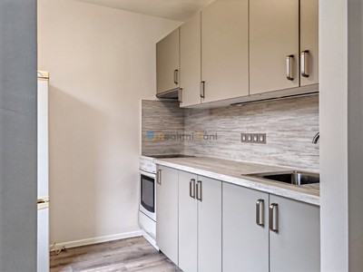 Pronájem bytu 1+1 33 m²