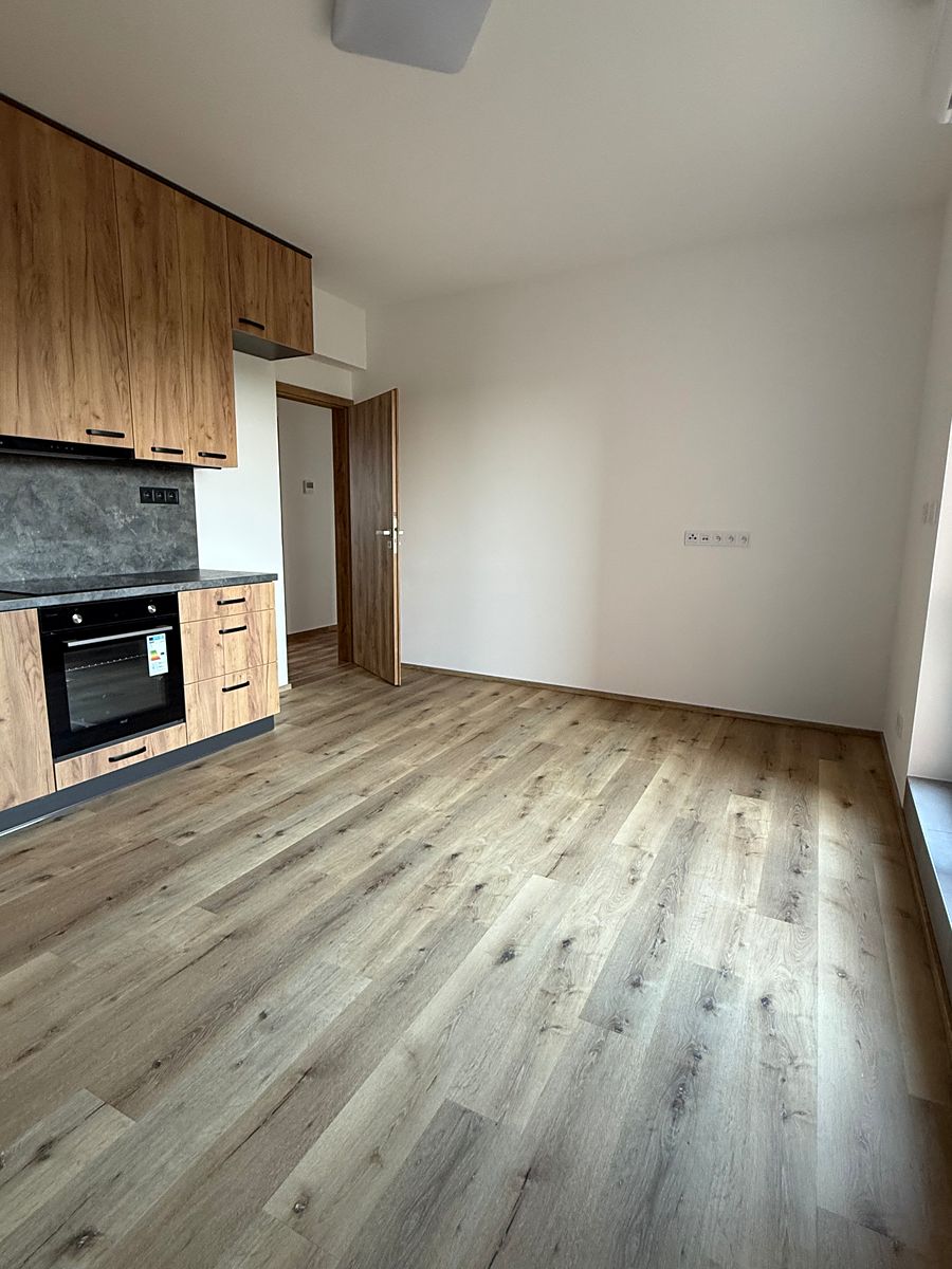 Pronájem bytu 3+kk 51 m² – fotografie 4